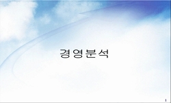 경영분석