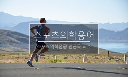 스포츠의학용어