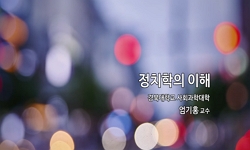 정치학이해
