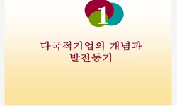 다국적기업론