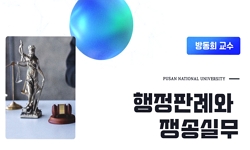 행정판례와 쟁송실무