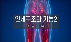 인체구조와 기능