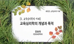 교육심리의 이해