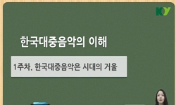 한국대중음악의 이해