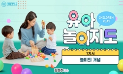 유아놀이지도