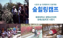 숲힐링캠프