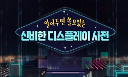 알아두면쓸모있는신비한디스플레이사전