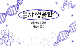 분자생물학