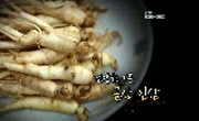 건강한 기운, 금산 인삼