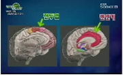 화학적 거세, 성범죄 막을 수 있나