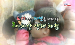 [유쾌한과학] 도시에서 자연을 배워요! 아차산 생태 체험